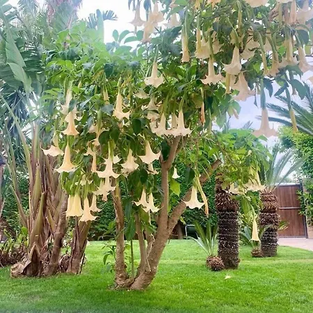 Villa Erika Gallipoli