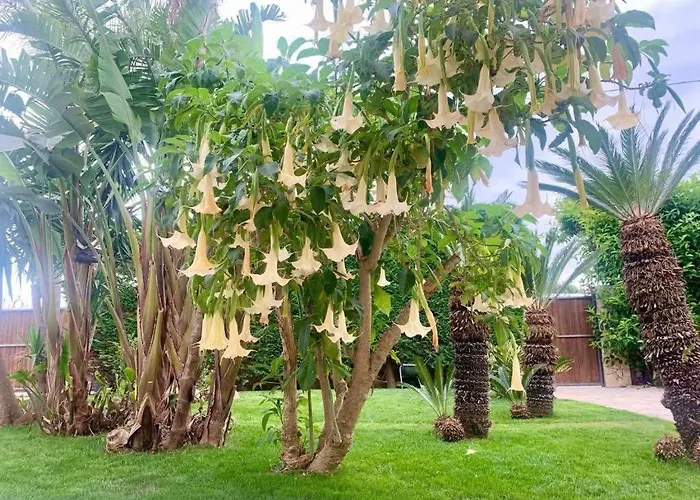 Villa Erika Gallipoli